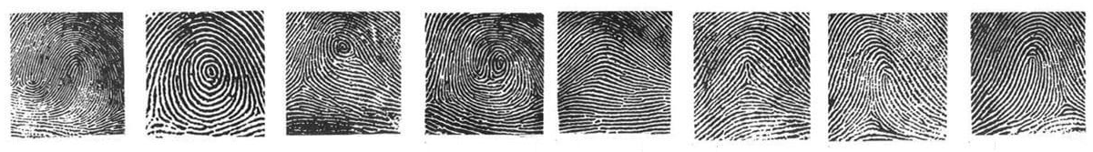 Evidence Law in Western Australia